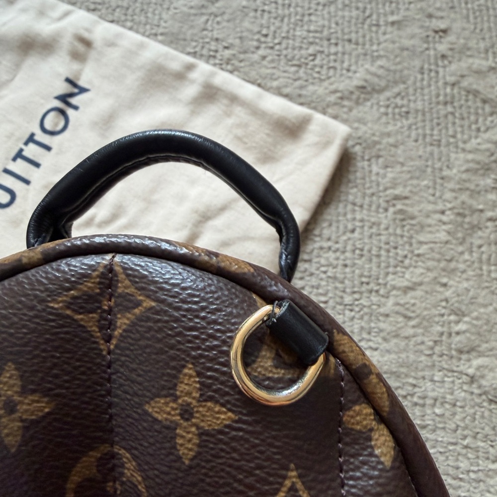 Louis Vuitton Monogram Mini Palm Spring Backpack - Picture 15 of 16